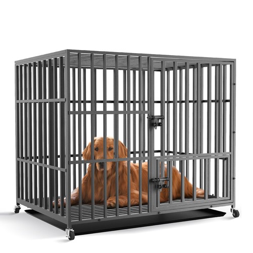Bingopaw heavy duty - duty, dog