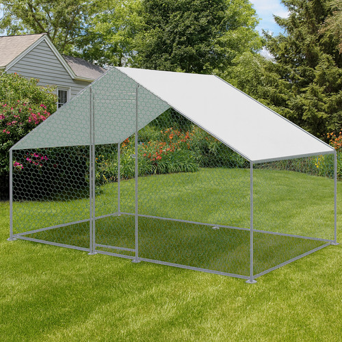 Kct 2x3m walk dog - dog, run