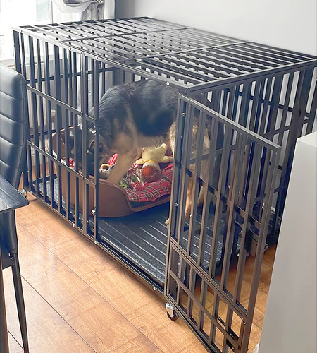 Heavy duty dog crate - heavy, large