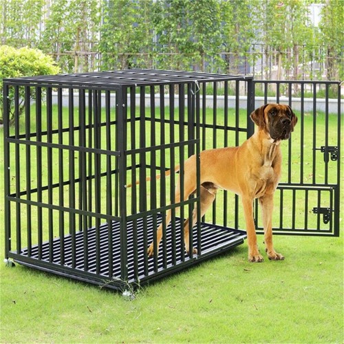 Jumbo anti bite - jumbo, dog